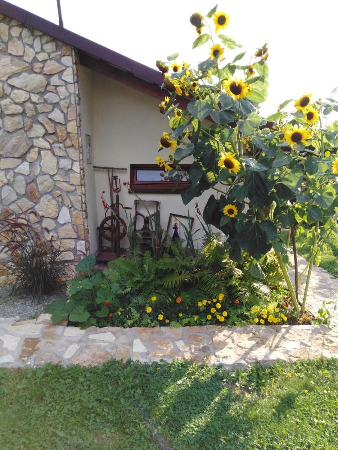 Czytelnia W Sadzie Krzykawka Exterior foto
