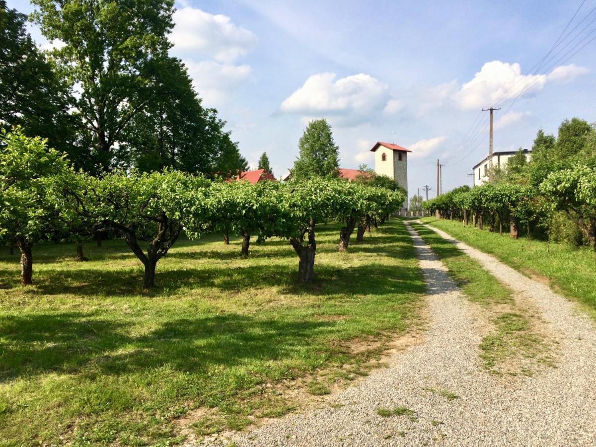 Czytelnia W Sadzie Krzykawka Exterior foto
